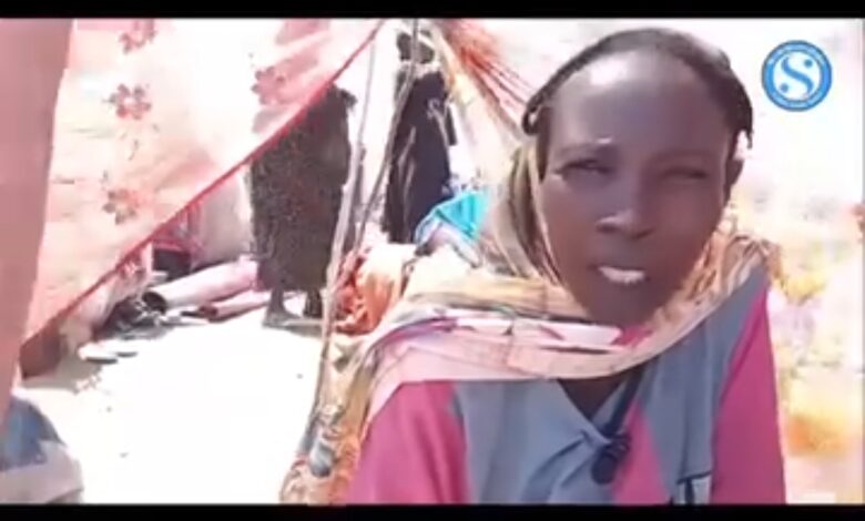 Screenshot ٢٠٢٥١٠٢٩ ٠٩١٢٥٠ WhatsAppBusiness